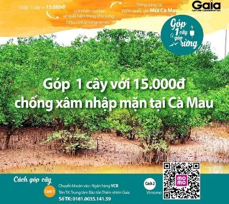 Cà[-]Mau:[-]Xác[-]minh[-]vụ[-]tự[-]ý[-]vận[-]động[-]tiền[-]trồng[-]rừng
